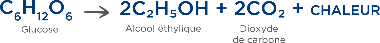 Chimiie-Ethanol